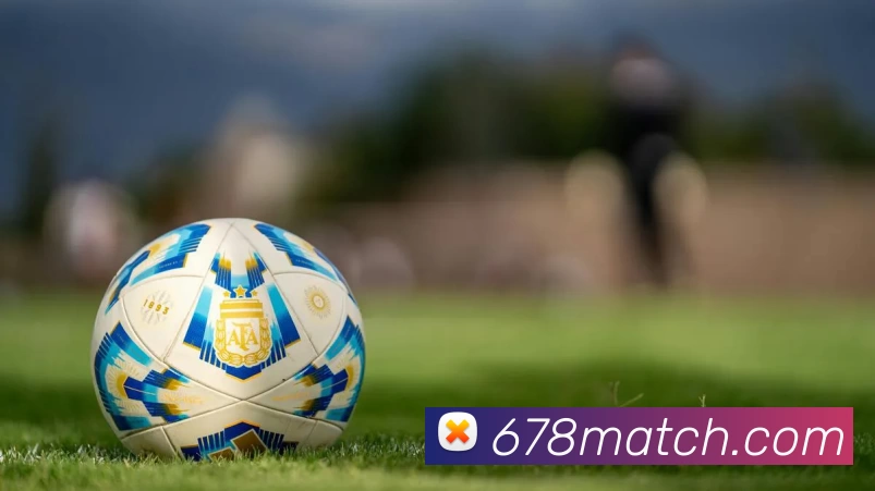 678体育官网发展历程